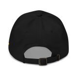 DEMONETIZED DAD HAT