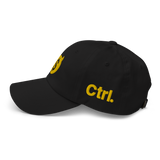 DEMONETIZED DAD HAT