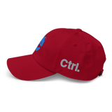 BLUE.IE DAD HAT