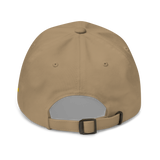 DEMONETIZED DAD HAT