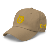 DEMONETIZED DAD HAT