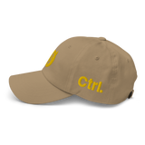 DEMONETIZED DAD HAT