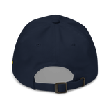 DEMONETIZED DAD HAT