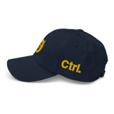 DEMONETIZED DAD HAT