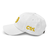 DEMONETIZED DAD HAT