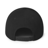 CYBERCRIME V2 SNAPBACK