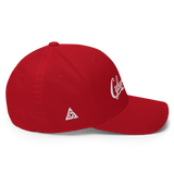 CYBERCRIME ZERODAY FLEXFIT CAP