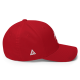 090113 BIO FLEXFIT TWILL CAP