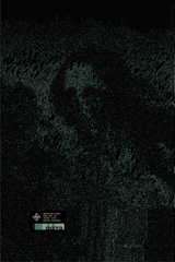 "MONA LISA CURSE" S-009 VAR. 0073 LIMITED PRINT-MATTE POSTER LE PRF-matte-poster-le-prf, mlcs009-Dustrial