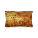 VENUS SQUARE PILLOW-SQUARE PILLOW-cosmosys, Festival Fashion, PILLOW-Dustrial