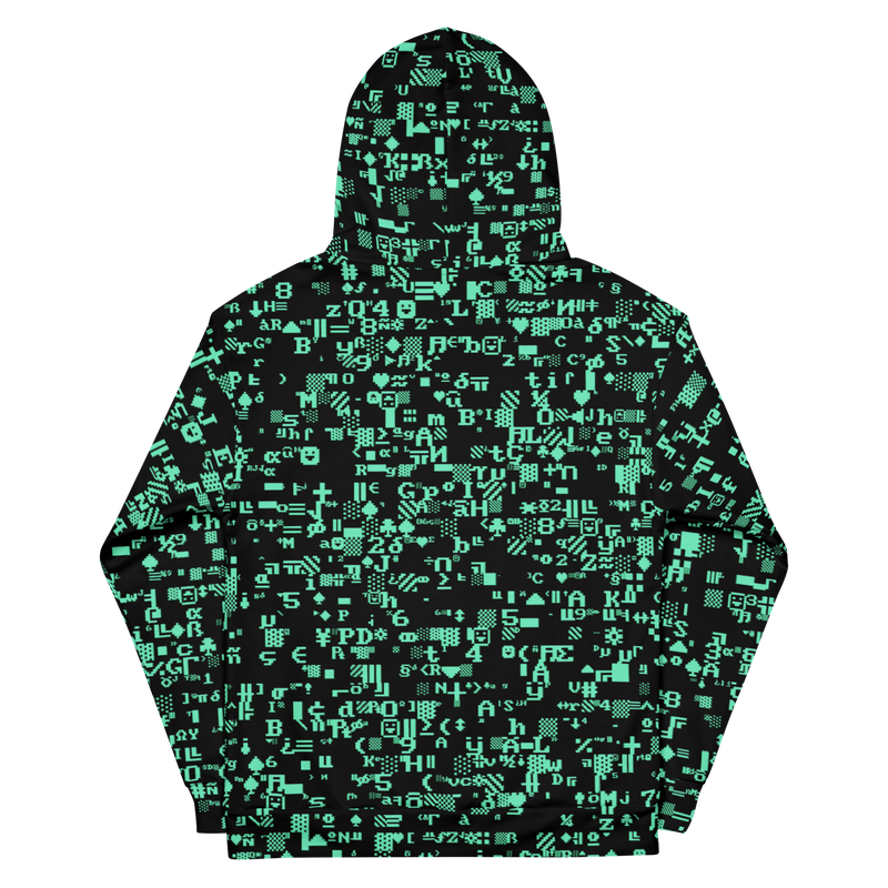 ASCII TERMINAL AO HOODIE