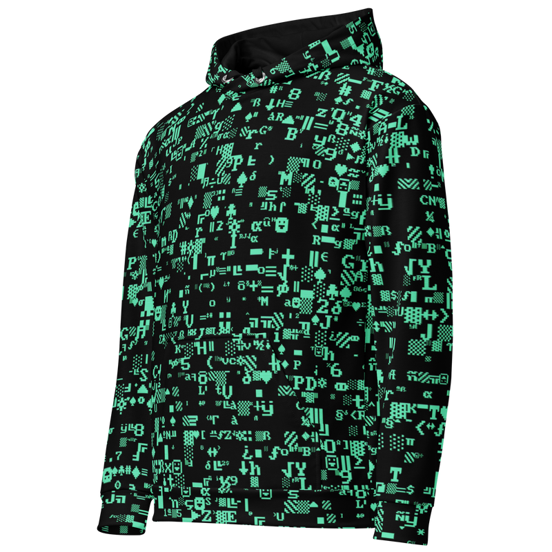 ASCII TERMINAL AO HOODIE