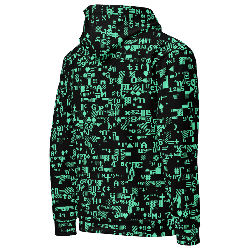 ASCII TERMINAL AO HOODIE