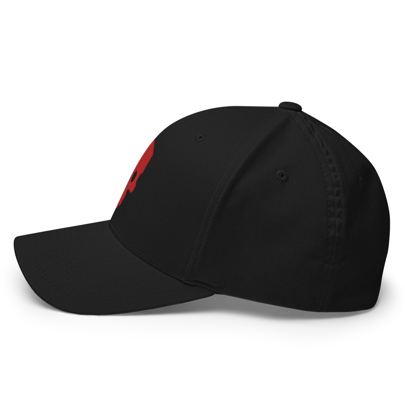 SKULLHEX IONV FLEXFIT TWILL CAP