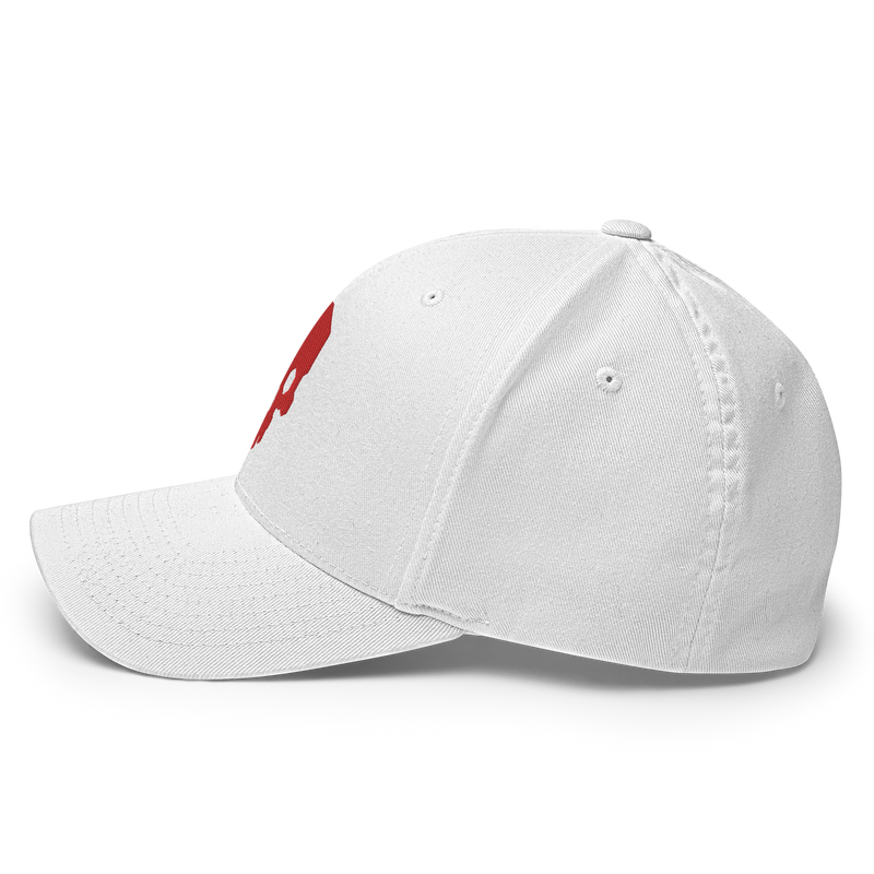 SKULLHEX IONV FLEXFIT TWILL CAP