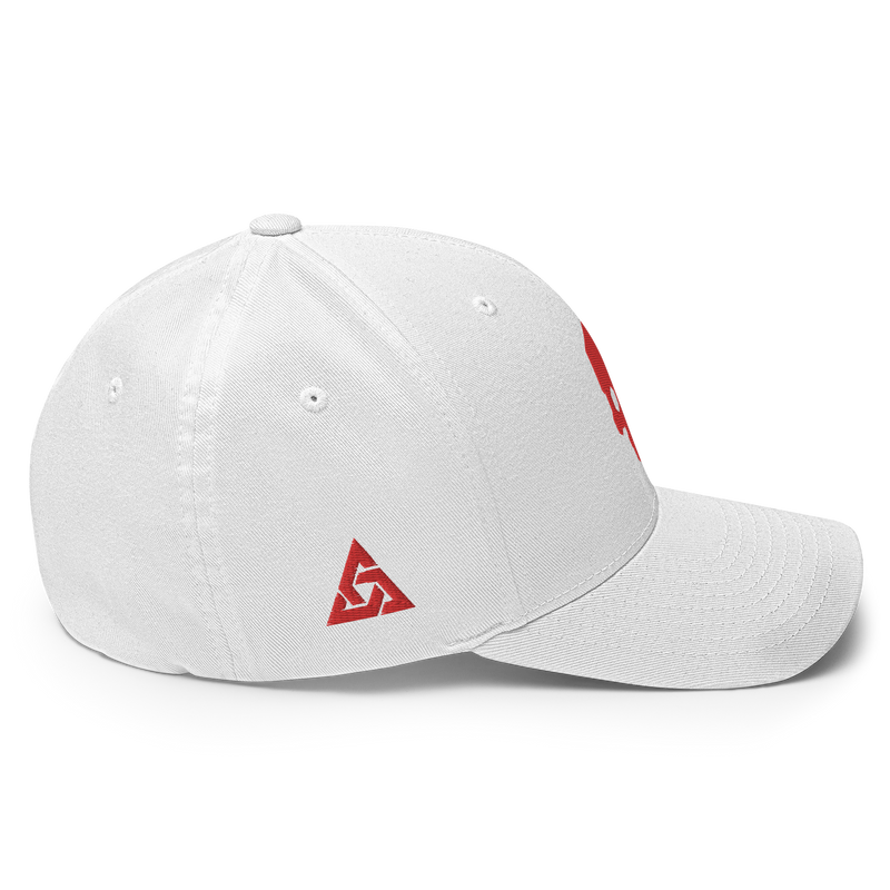 SKULLHEX IONV FLEXFIT TWILL CAP