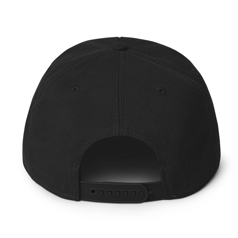 CYBERCRIME ZERODAY SNAPBACK