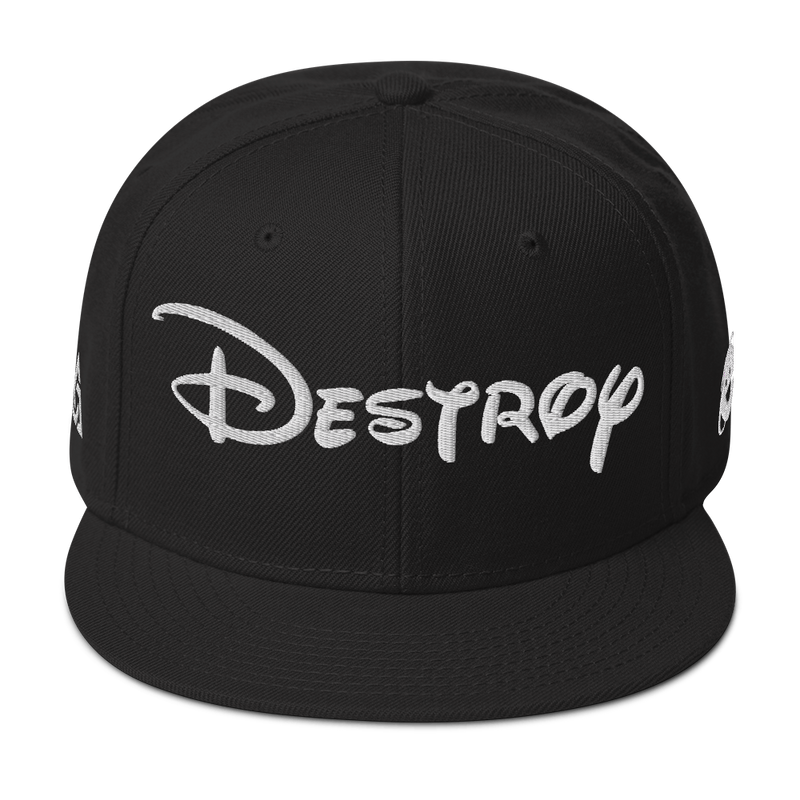 DESTROY SNAPBACK