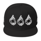 SECTION 666 SNAPBACK