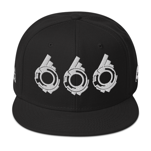 SECTION 666 SNAPBACK