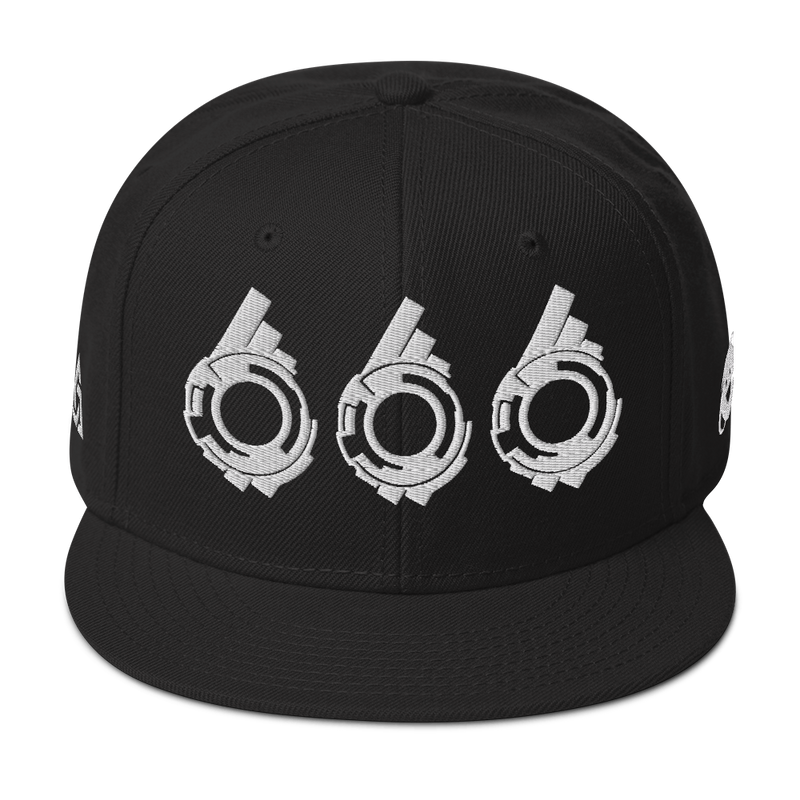 SECTION 666 SNAPBACK