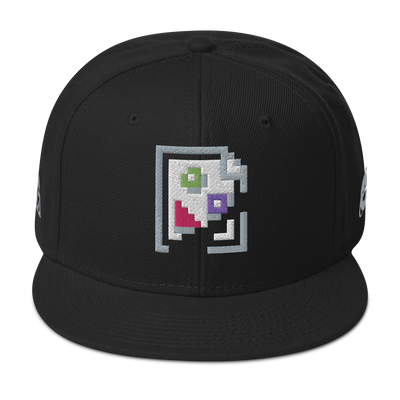 IMAGE PROBLEM SNAPBACK