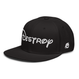 DESTROY SNAPBACK