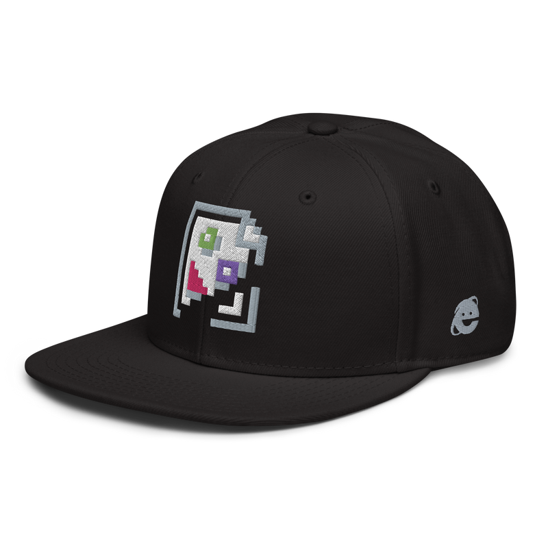 IMAGE PROBLEM SNAPBACK