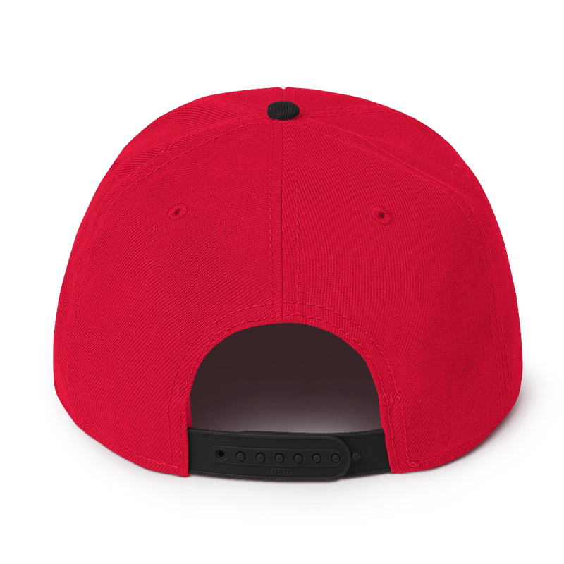 CYBERCRIME ZERODAY SNAPBACK