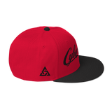 CYBERCRIME ZERODAY SNAPBACK