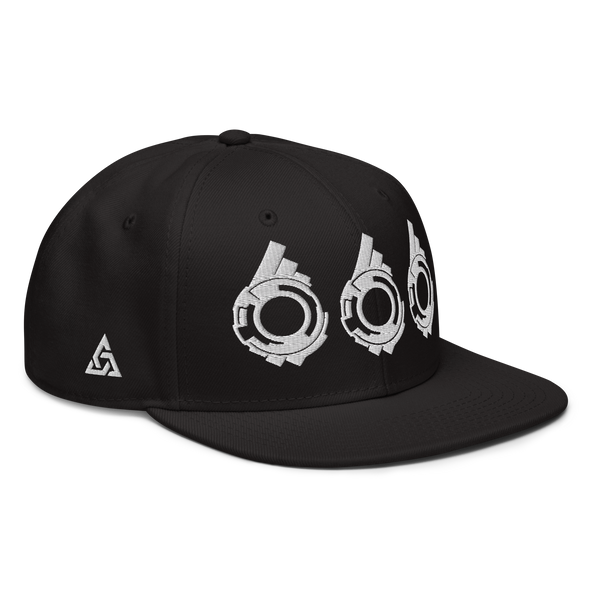 SECTION 666 SNAPBACK