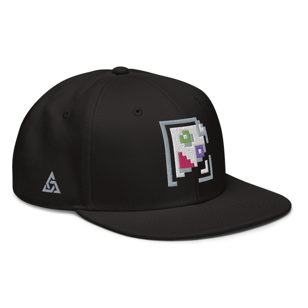 IMAGE PROBLEM SNAPBACK