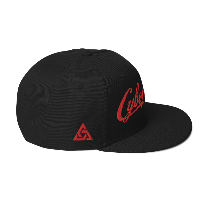 CYBERCRIME ZERODAY SNAPBACK