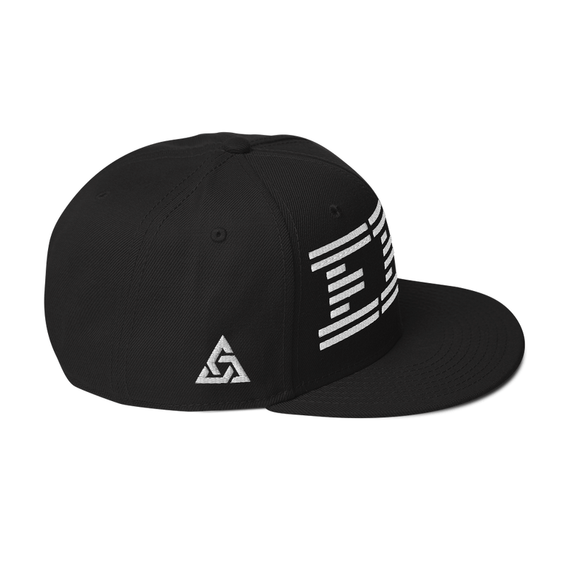 EBM SNAPBACK