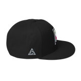 IMAGE PROBLEM SNAPBACK