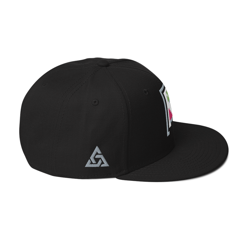 IMAGE PROBLEM SNAPBACK