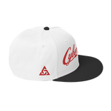 CYBERCRIME ZERODAY SNAPBACK