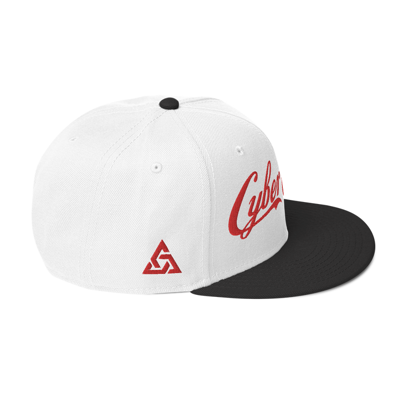 CYBERCRIME ZERODAY SNAPBACK