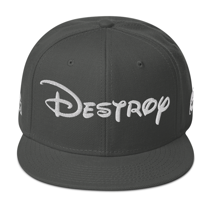 DESTROY SNAPBACK