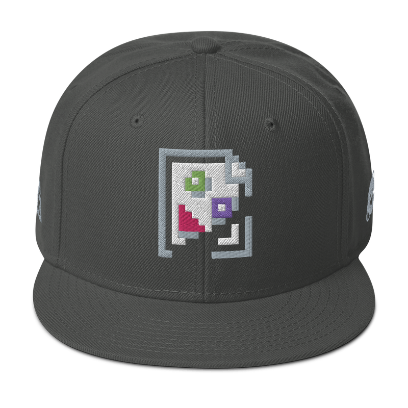 IMAGE PROBLEM SNAPBACK