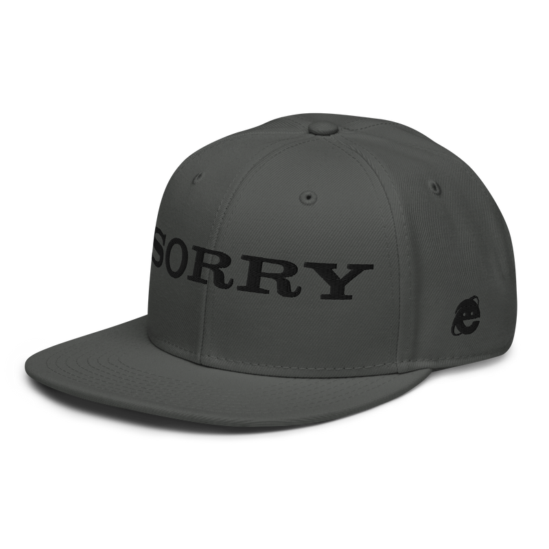 SORRY SNAPBACK