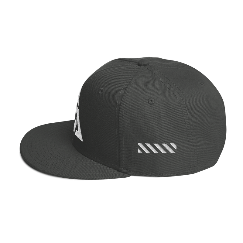 TRINTIY SNAPBACK