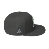 IMAGE PROBLEM SNAPBACK