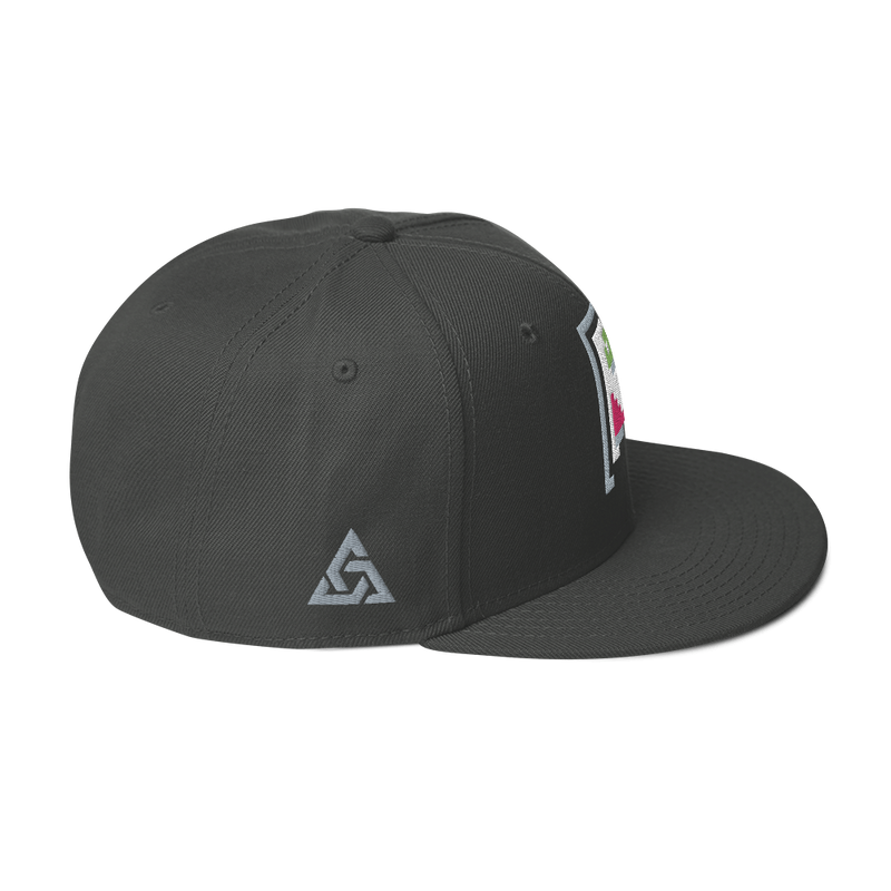 IMAGE PROBLEM SNAPBACK