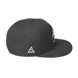 BIODUSTRIAL SNAPBACK