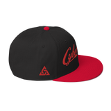 CYBERCRIME ZERODAY SNAPBACK