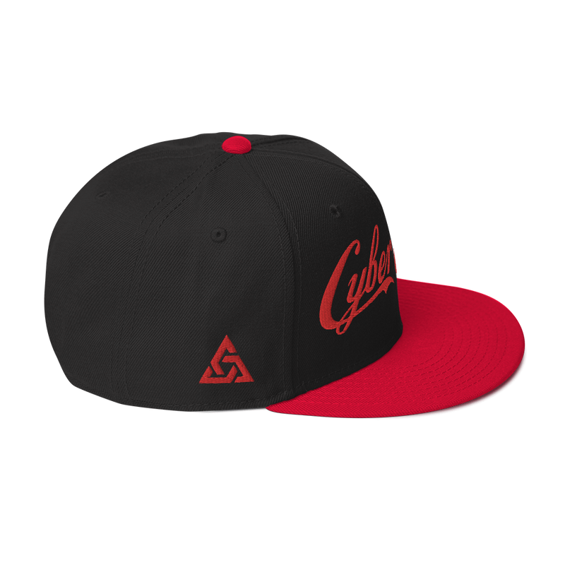 CYBERCRIME ZERODAY SNAPBACK