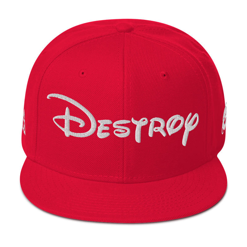 DESTROY SNAPBACK