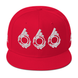 SECTION 666 SNAPBACK