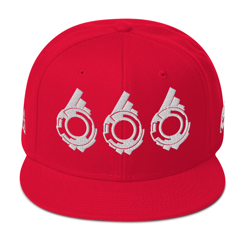 SECTION 666 SNAPBACK